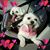 Monica Fowler's profile image