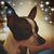Melinda Mathews's profile image