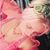 Marissa McCallin's profile image