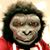 Joseph Marchetti's profile image