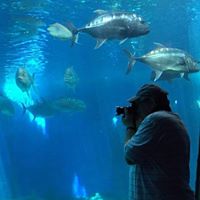 John Kain's profile image