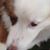 Paula Henson's profile image