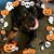 Rhonda Anderson-Boling's profile image