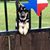 Susan Spencer's profile image