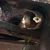 Michael Robischon's profile image