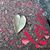 Jill Haney Graziadei's profile image