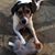 Sharon Lotze's profile image
