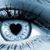 Sheila Trippett's profile image