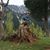 Naseer Ahmad's profile image