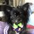 Susan Elizabeth Gornto's profile image