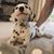 Christopher Kilbourn's profile image