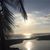 Jenny Dirks's profile image