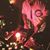 John Cuevas's profile image