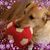 Cecilia Batmalle's profile image