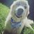 Jeffrey Fischer's profile image