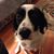 Judy Blackmon's profile image