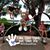Kristin Willan Grundler's profile image