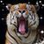 Tina Dansby's profile image