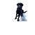 Wendy Mollico- Messina's profile image