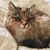 Patricia Santen's profile image