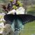 Bonnie Hullmann Mcgivney's profile image