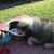 Tika Newman's profile image