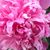 Jackie Pinkston's profile image