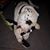 Sherry Enterline's profile image