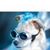 Kristen Katt Mosconi's profile image