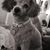 Trisha Waldon-Jourdan's profile image