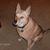 Judy A Jaeger's profile image