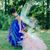 Angie Arthur's profile image