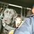 David Knepper's profile image