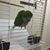 Christine Rigda's profile image