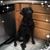 JoAnn Tuite's profile image