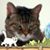 Nicki Kroll's profile image