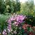 Deb Hall Werth's profile image