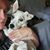 Angel Evans's profile image