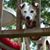 Jennifer DeMarcy Foret's profile image