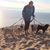 Julie A Shields's profile image