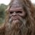 Shawn Fowler's profile image