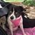 Mary Andry's profile image