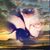 Roman Petrocelli's profile image