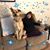 Maritess Queri's profile image