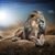 Diana Nelson's profile image