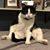 Michelle Bowe's profile image