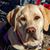 Jerry Yops's profile image