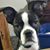Kristie Overby's profile image