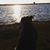Carmen Jimenez's profile image