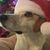 Nina Cuetlach's profile image